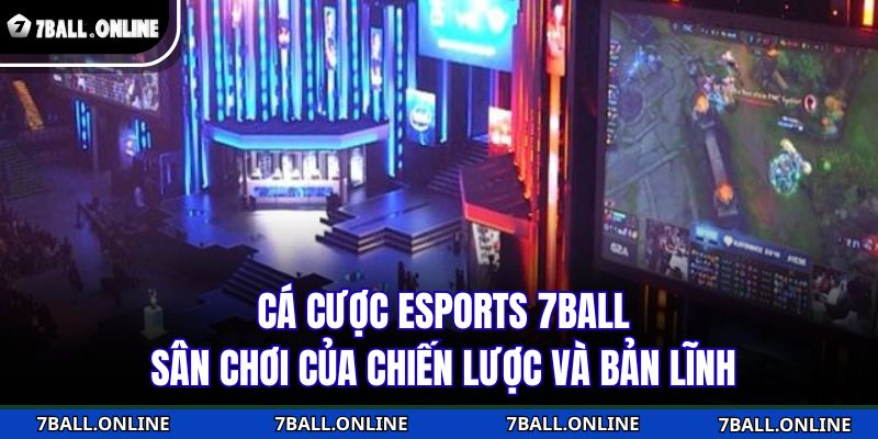 Cá cược Esports 7BALL