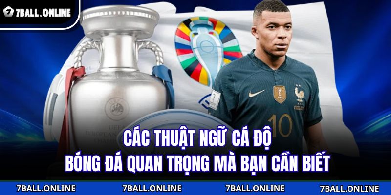 Các Thuật Ngữ Cá Độ Bóng Đá
