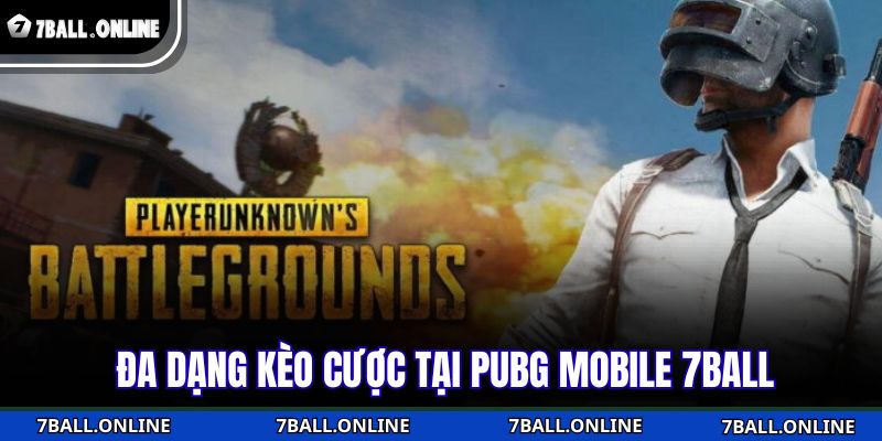 PUBG Mobile 7BALL - Sàn Đấu Trí Tuệ Của Fan Game Sinh Tồn 4 Đa dạng kèo cược tại PUBG Mobile 7BALL
