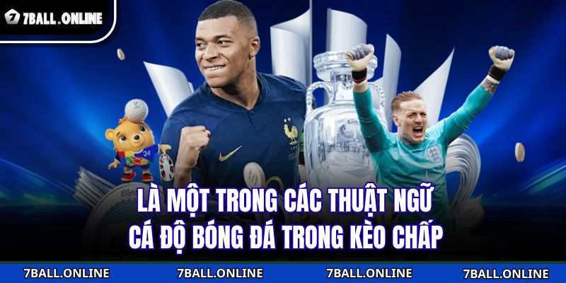 Các Thuật Ngữ Cá Độ Bóng Đá Quan Trọng Mà Bạn Cần Biết 3 Là một trong các thuật ngữ cá độ bóng đá trong kèo chấp