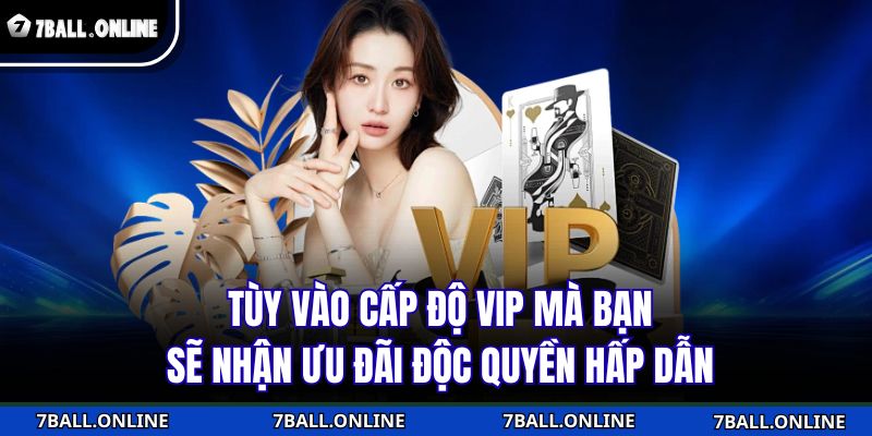 Tùy vào cấp độ VIP mà bạn sẽ nhận ưu đãi độc quyền hấp dẫn